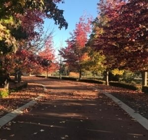 Along the Road to Recovery